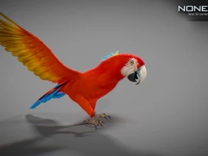 Red parrot animated 3D Model