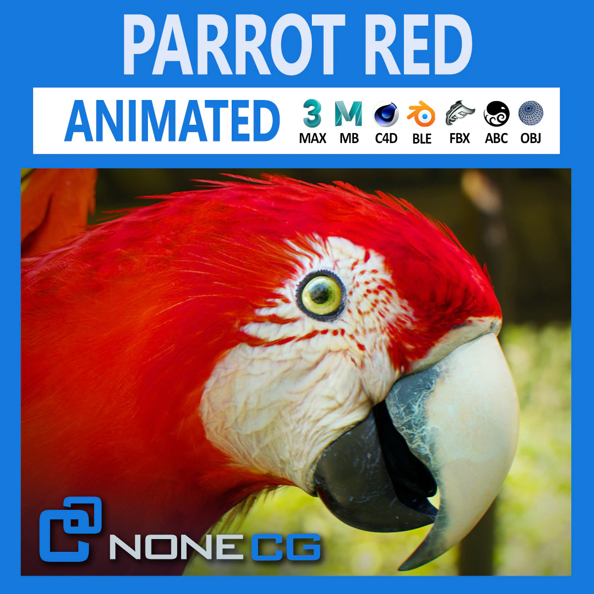 Red parrot animated 3D Model .c4d .max .obj .3ds .fbx .stl .blend 