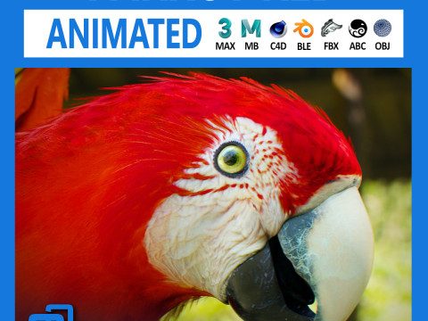 Red parrot animated 3D-Modell