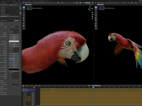 Red parrot animated 3D 모델