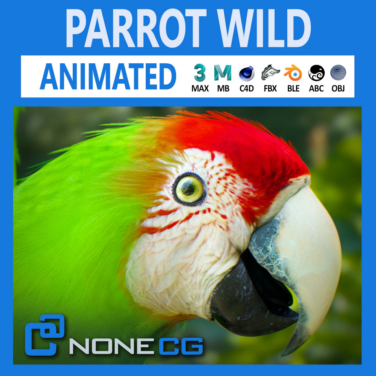Wild parrot animated 3D Model .c4d .max .obj .3ds .fbx .stl .blend