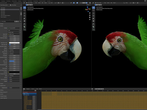 Wild parrot animated Model 3D
