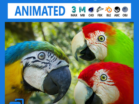 Parrot pack animated 3D-Modell
