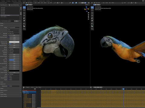 Parrot pack animated 3Dモデル