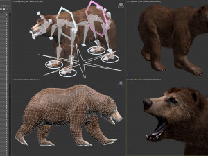 Animated Bear Modelo 3D