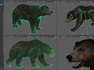 Animated Bear Modelo 3D