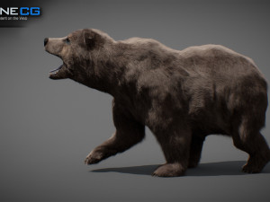 Animated Bear Modelo 3D