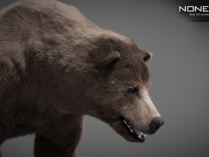 Animated Bear Modelo 3D
