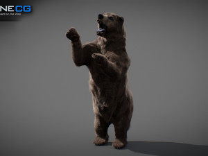 Animated Bear Modelo 3D