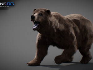 Animated Bear Modelo 3D