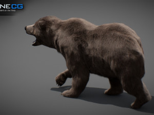 Animated Bear Modelo 3D