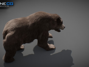Animated Bear Modelo 3D