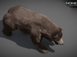 Animated Bear Modelo 3D
