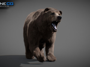Animated Bear Modelo 3D