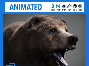 Animated Bear 3D Model