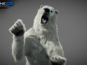 Animated Polar Bear Modello 3D