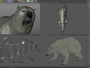 Animated Polar Bear Modello 3D