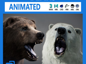 Animated Bears Pack 3D Model