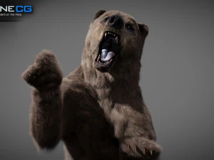 Pacchetto Orsi animati Modello 3D