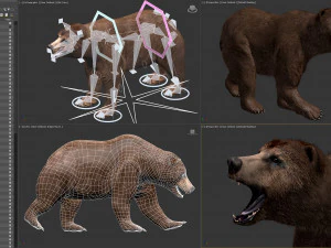 Pacchetto Orsi animati Modello 3D