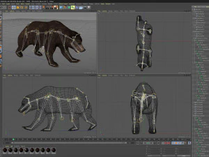 Pacchetto Orsi animati Modello 3D