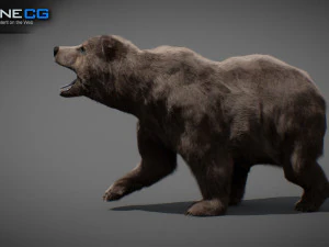 Pacchetto Orsi animati Modello 3D