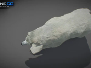 Pacchetto Orsi animati Modello 3D