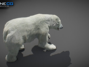 Animated Bears Pack Model 3D