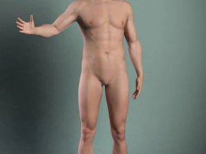 Adult Male Brian 3D Model