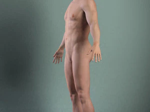 Adult Male Brian 3D Model