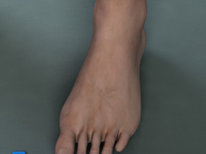 Adult Male Brian Modelo 3D