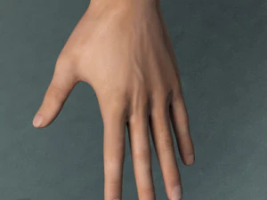 Adult Male Brian 3D Model