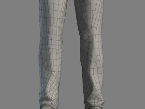 Adult Male Brian 3D Model