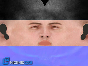 Adult Male Brian 3D Model