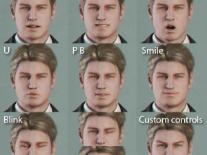 Adult Male Brian 3D Model