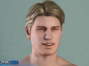 Adult Male Brian 3D Model