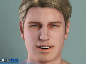 Adult Male Brian 3D Model