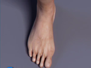 Adult Male Tom 3D Model