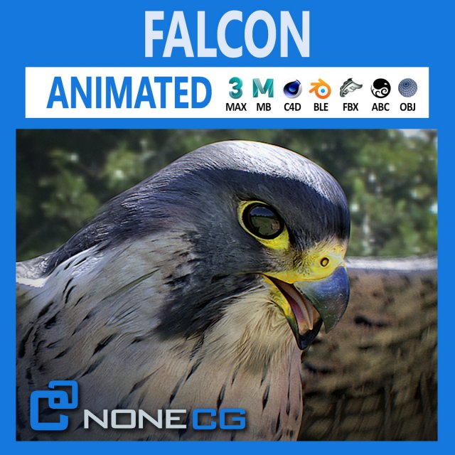 3D Animated Falcon 3D Model .c4d .max .obj .3ds .fbx .lwo .lw .lws