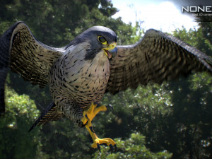 3D Animated Falcon 3D मॉडल