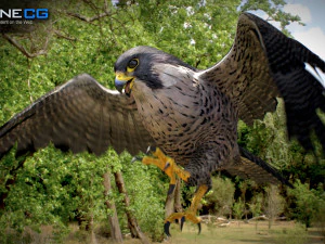 3D-анимированный сокол 3D Модель