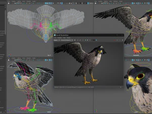 3D-анимированный сокол 3D Модель