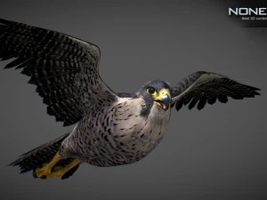 3D-анимированный сокол 3D Модель