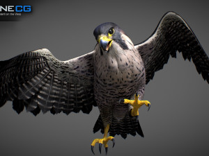 3D Animated Falcon 3D मॉडल
