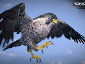 3D Animated Falcon 3D मॉडल