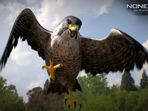 3D Animated Falcon 3D मॉडल