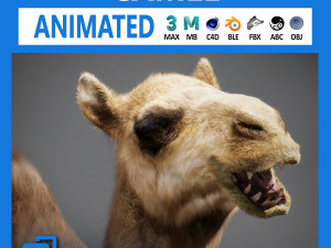 Animated Camel v2 3D Model