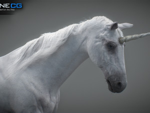 Animated Unicorn 3D 模型