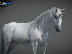 Animated Unicorn 3D 模型