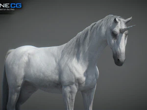 Animated Unicorn 3D Model